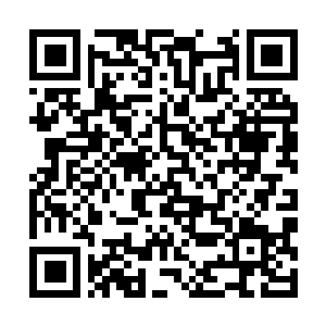Lien vers votre campagne QRCode - Collecte de fonds
