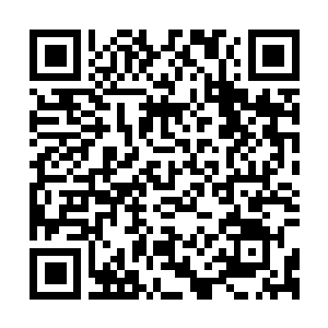 Lien vers votre campagne QRCode - Collecte de fonds