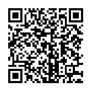 Lien vers votre campagne QRCode - Collecte de fonds