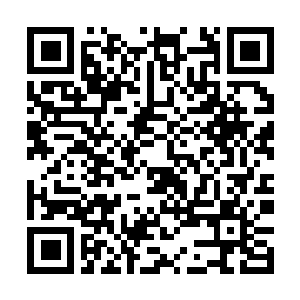 Lien vers votre campagne QRCode - Collecte de fonds