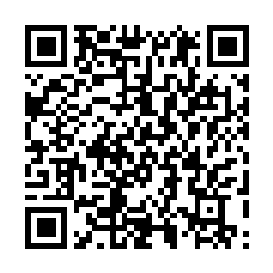 Lien vers votre campagne QRCode - Collecte de fonds