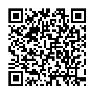 Lien vers votre campagne QRCode - Collecte de fonds