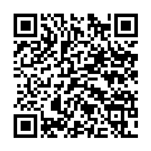Lien vers votre campagne QRCode - Collecte de fonds
