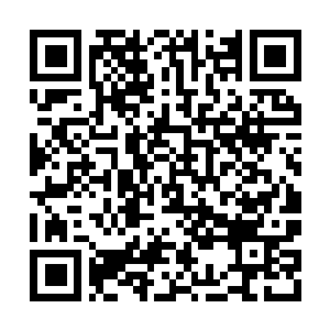 Lien vers votre campagne QRCode - Collecte de fonds