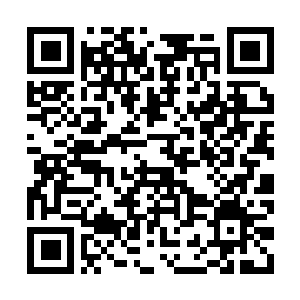 Lien vers votre campagne QRCode - Collecte de fonds