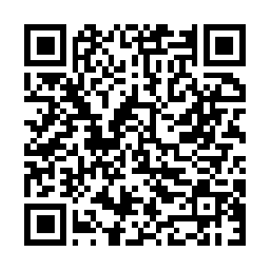 Lien vers votre campagne QRCode - Collecte de fonds