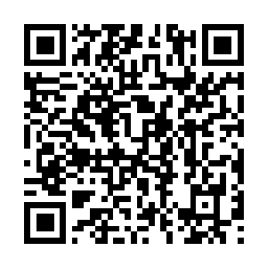 Lien vers votre campagne QRCode - Collecte de fonds