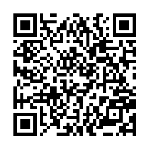 Lien vers votre campagne QRCode - Collecte de fonds