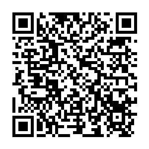 Lien vers votre campagne QRCode - Collecte de fonds