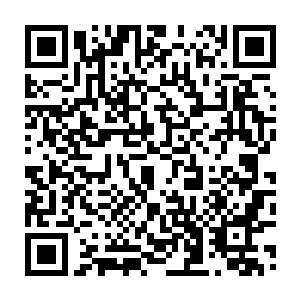 Lien vers votre campagne QRCode - Collecte de fonds
