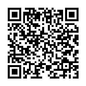 Lien vers votre campagne QRCode - Collecte de fonds