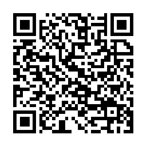 Lien vers votre campagne QRCode - Collecte de fonds