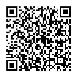Lien vers votre campagne QRCode - Collecte de fonds