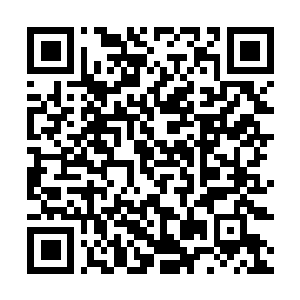 Lien vers votre campagne QRCode - Collecte de fonds