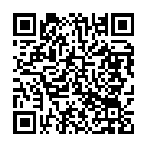 Lien vers votre campagne QRCode - Collecte de fonds