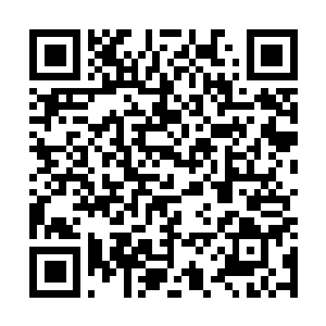 Lien vers votre campagne QRCode - Collecte de fonds