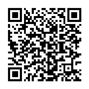 Lien vers votre campagne QRCode - Collecte de fonds