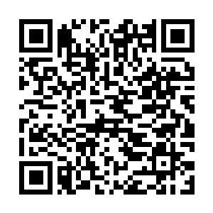 Lien vers votre campagne QRCode - Collecte de fonds