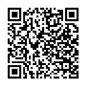 Lien vers votre campagne QRCode - Collecte de fonds