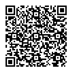 Lien vers votre campagne QRCode - Collecte de fonds