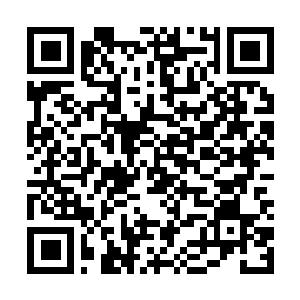 Lien vers votre campagne QRCode - Collecte de fonds