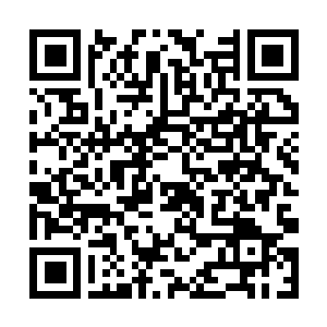 Lien vers votre campagne QRCode - Collecte de fonds