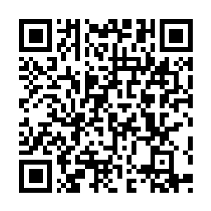 Lien vers votre campagne QRCode - Collecte de fonds