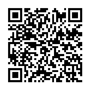Lien vers votre campagne QRCode - Collecte de fonds