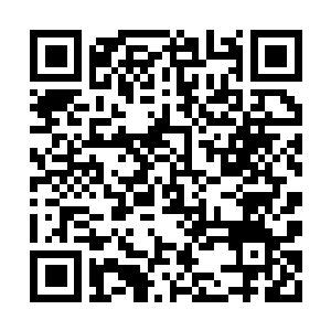 Lien vers votre campagne QRCode - Collecte de fonds