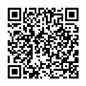 Lien vers votre campagne QRCode - Collecte de fonds