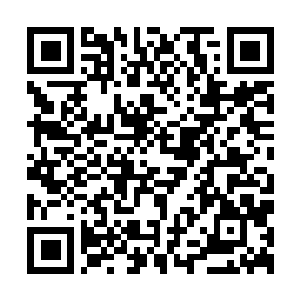 Lien vers votre campagne QRCode - Collecte de fonds