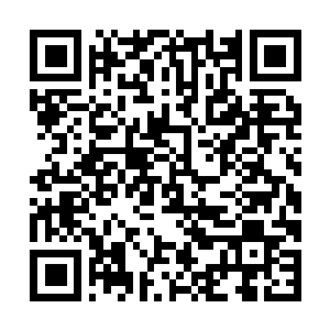 Lien vers votre campagne QRCode - Collecte de fonds