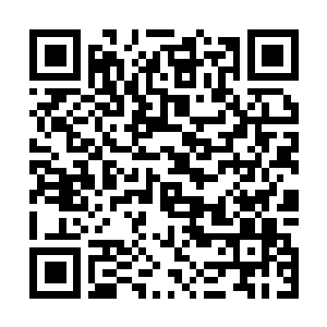 Lien vers votre campagne QRCode - Collecte de fonds