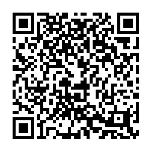 Lien vers votre campagne QRCode - Collecte de fonds