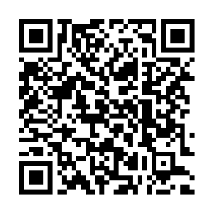 Lien vers votre campagne QRCode - Collecte de fonds