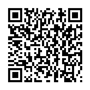 Lien vers votre campagne QRCode - Collecte de fonds