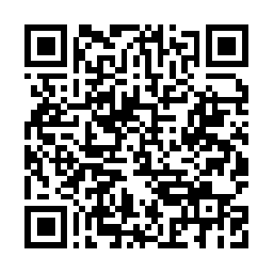 Lien vers votre campagne QRCode - Collecte de fonds