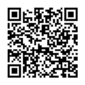 Lien vers votre campagne QRCode - Collecte de fonds