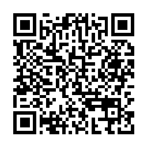 Lien vers votre campagne QRCode - Collecte de fonds