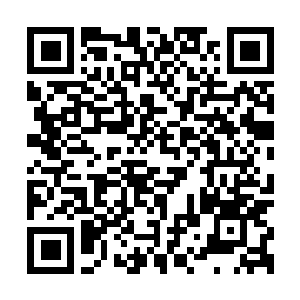 Lien vers votre campagne QRCode - Collecte de fonds