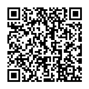 Lien vers votre campagne QRCode - Collecte de fonds