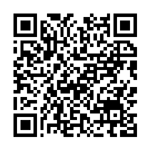 Lien vers votre campagne QRCode - Collecte de fonds
