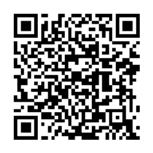 Lien vers votre campagne QRCode - Collecte de fonds