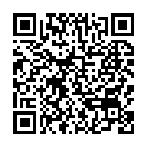 Lien vers votre campagne QRCode - Collecte de fonds