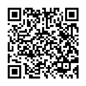 Lien vers votre campagne QRCode - Collecte de fonds