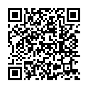 Lien vers votre campagne QRCode - Collecte de fonds