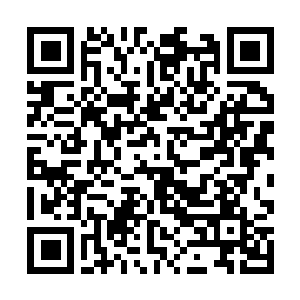 Lien vers votre campagne QRCode - Collecte de fonds