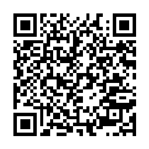 Lien vers votre campagne QRCode - Collecte de fonds
