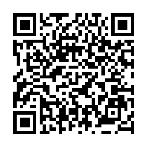 Lien vers votre campagne QRCode - Collecte de fonds