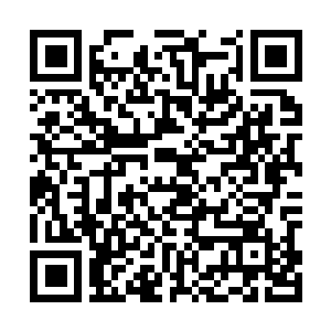 Lien vers votre campagne QRCode - Collecte de fonds
